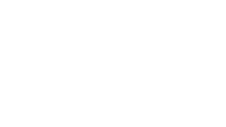 The Meeting